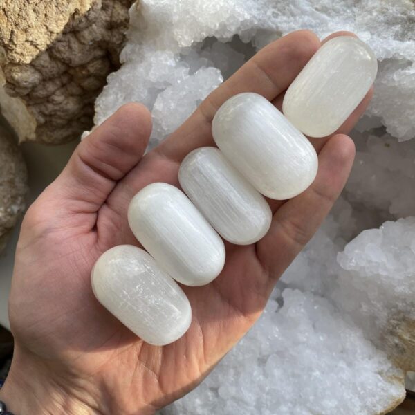 Selenitas, XXL (45-65 gr.)
