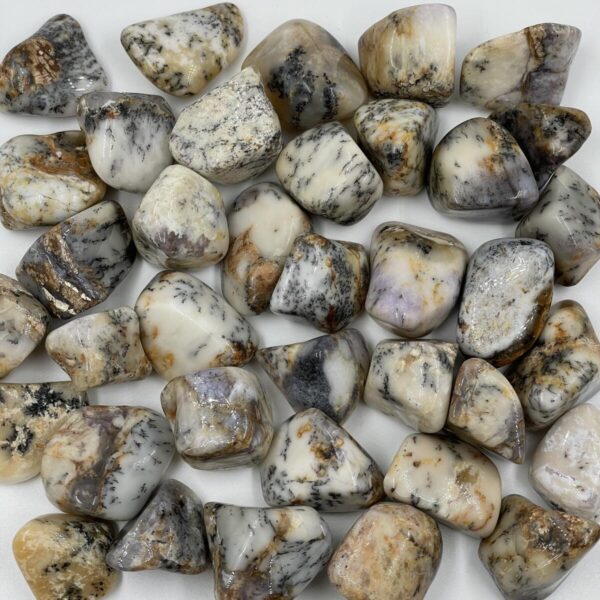Dendritinis opalas, L-XL dydis