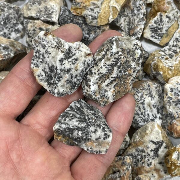 Dendritinis jaspis, 26-51 gr.