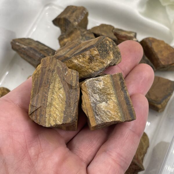 Tigro akis, 20-42 gr.