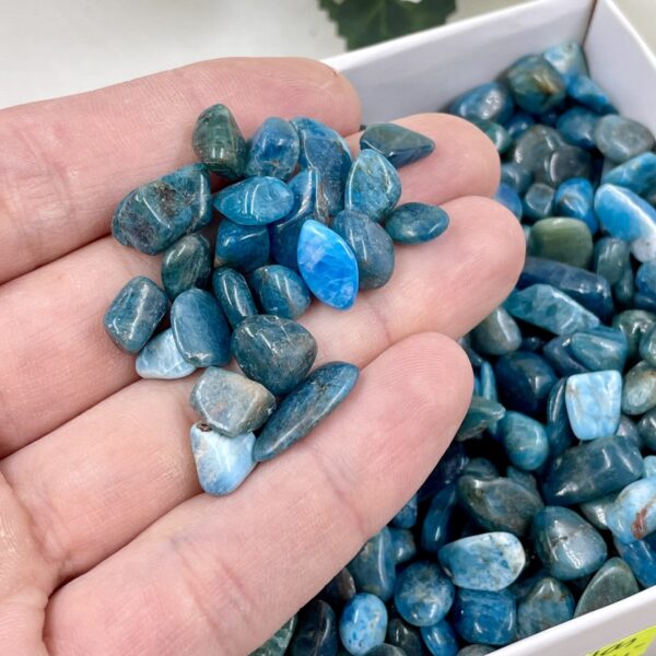 Apatitas, XS dydis
