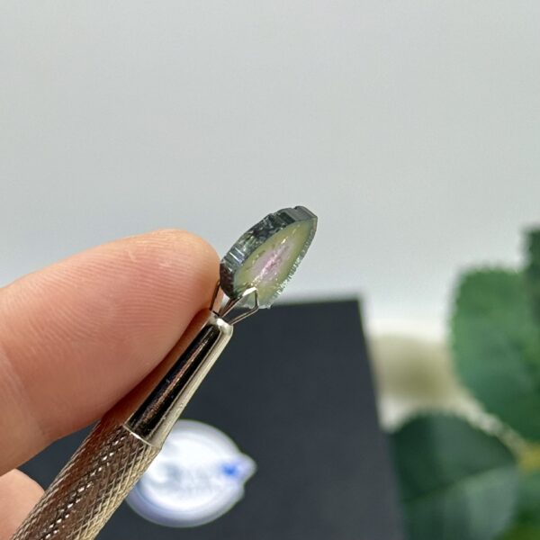 Arbūzinis turmalinas, 3,95 ct - Image 3