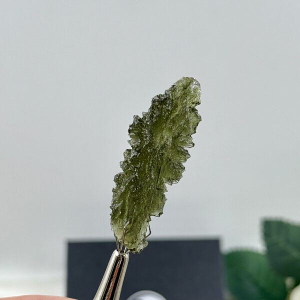 Moldavitas, 5,67 gr. - Image 3